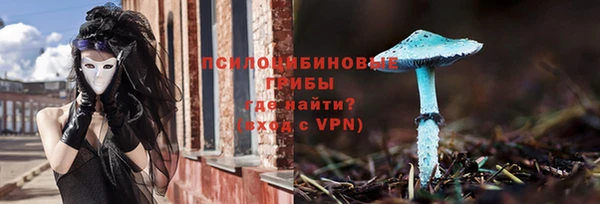 spice Дмитриев