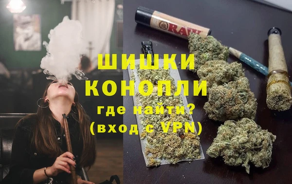 молекула духа Гусиноозёрск