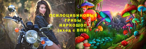 мдпв Туринск