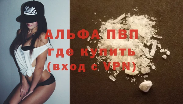 мдпв Туринск