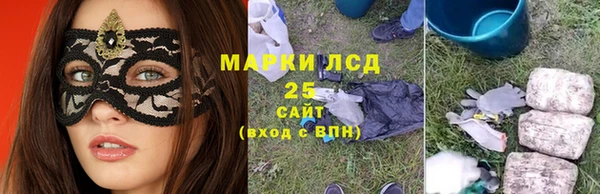 молекула духа Гусиноозёрск