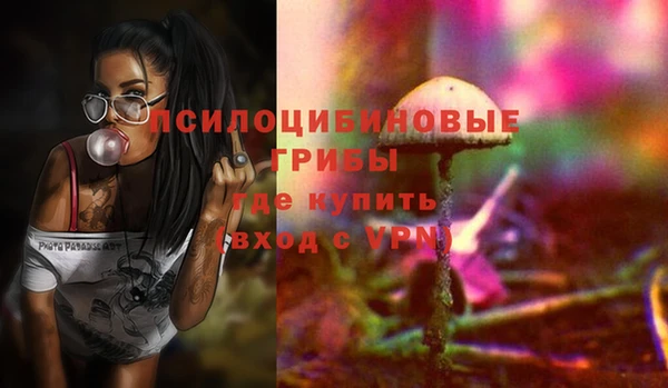 молекула духа Гусиноозёрск